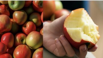 Ein Apfel pro Tag – reicht das wirklich? Eine neue Auswertung zeigt, welche Sorten am gesündesten sind, wie viele Äpfel täglich sinnvoll sind und worauf man achten sollte.