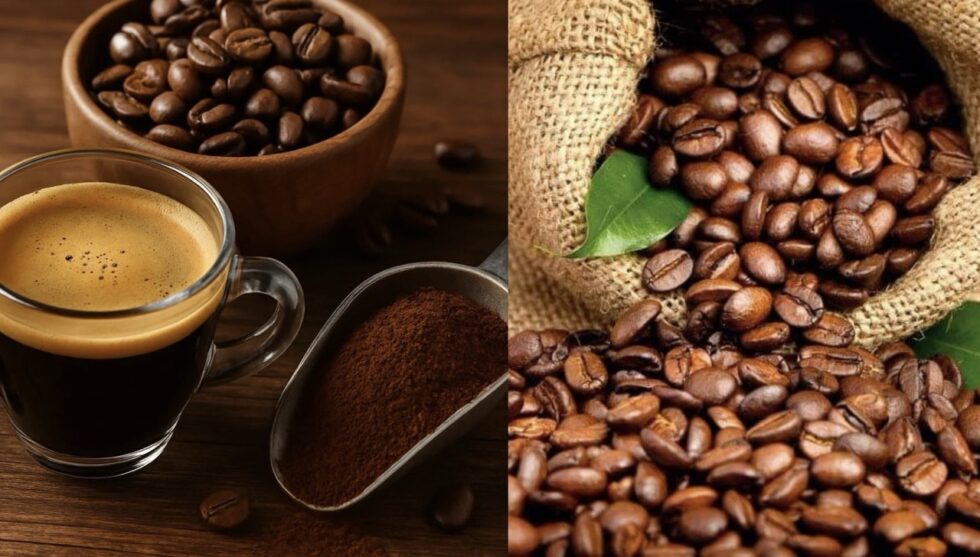 Espresso oder Americano – was ist gesünder? Mit Barista-Tipps zur Zubereitung, Auswahl der Bohnen und wo Sie in der Schweiz besten Kaffee kaufen können.