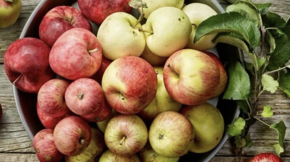 Ein Apfel am Tag – hilft er wirklich gegen Krankheiten?