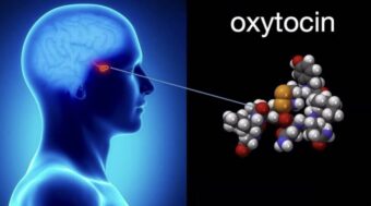 Oxytocin, das sogenannte Bindungshormon, stärkt Vertrauen, senkt Stress und fördert Heilung. Wie Kuscheln und Berührung die Gesundheit messbar beeinflussen.