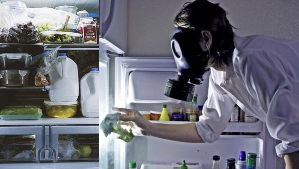 Unangenehmer Geruch im Kühlschrank? Warum das ein Warnsignal ist, welche Risiken drohen – und wie man Gerüche nachhaltig und hygienisch entfernt.