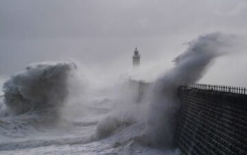 Heftiger Sturm in Italien: Frau stirbt bei Spaziergang nahe Mailand