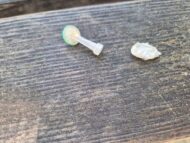 Zukunft sichern: Eltern in Basel warnen vor Drogen-Hotspot neben Schule