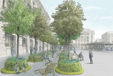 Die Baumshow in Zürich: Ein teures Experiment oder bloße Propaganda