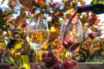 Herbstliche Weinproben in Genf: Die besten Weingüter und Events für den Herbst 2025