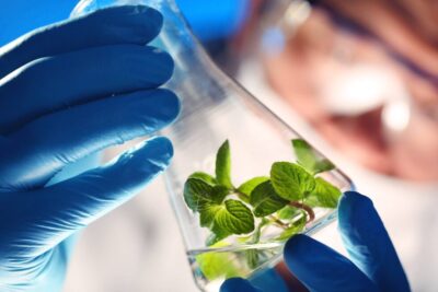 Entdecken Sie Schweizer Startup-Innovationen 2025, inklusive VC-Finanzierung, Exits, KI, Biotechnologie, Clean Tech, Fintech und Robotik.