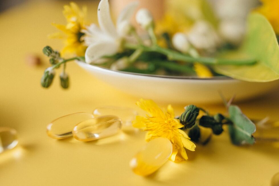 Fitness Großhandel für Supplements, Sportnahrung und Nahrungsergänzung. Mit Powerbody.de erhalten Händler Top-Marken, schnelle Lieferung und starke Margen.