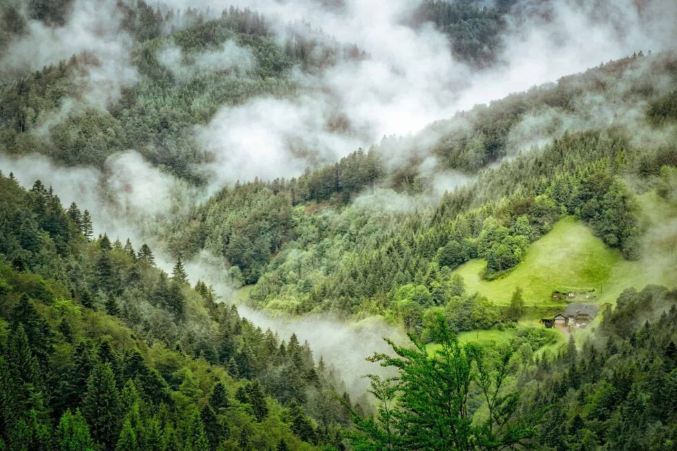 Schwarzwald besuchen: Natur, Kuckucksuhren und Wellnesshotels
