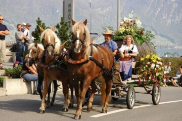 L&auml;set-Sunntig Spiez 2025: Tradition, Wein und Kultur im Berner Oberland