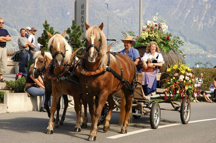 Läset-Sunntig Spiez 2025: Tradition, Wein und Kultur im Berner Oberland