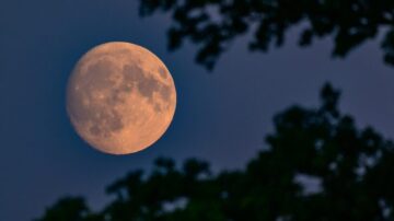 In der Schweiz hat die totale Mondfinsternis begonnen: Der Mond leuchtet rot