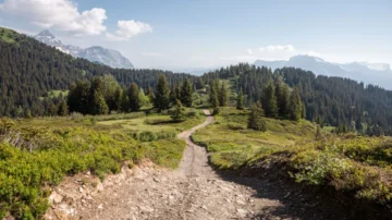 Entdecken Sie die nachhaltigen Eco-Trails in Graub&uuml;nden und im Wallis 2025. Erfahren Sie, wie die Schweiz Wandern und Umweltschutz verbindet.