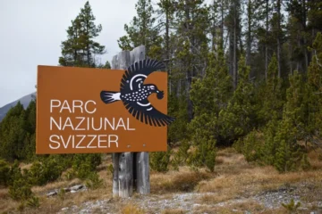 Der Guide zum Nationalpark Schweiz 2025: Erleben Sie Wildtiere und Wanderwege im Engadin. Alle Infos zu Regeln und nachhaltigem Tourismus.