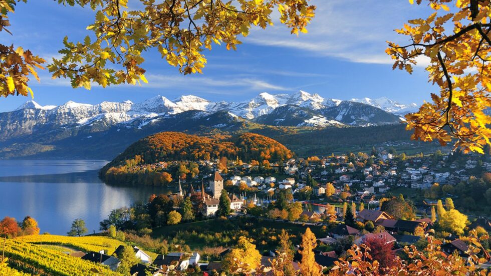 Zürichsee Herbst 2025: Schifffahrt und beste Weinregion