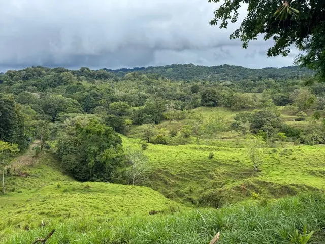 „Pura Vida“ ist mehr als Urlaub – es ist eine Lebenseinstellung. Warum Menschen aus Europa in Costa Rica Zufriedenheit, Ruhe und Sinn statt Stress und Konsum suchen.