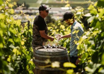 Weinwanderungen Lausanne 2025 entdecken, Herbstfest Lavaux erleben, Weine kosten, Routen & Tipps für unvergessliche Tage am Seeufer.