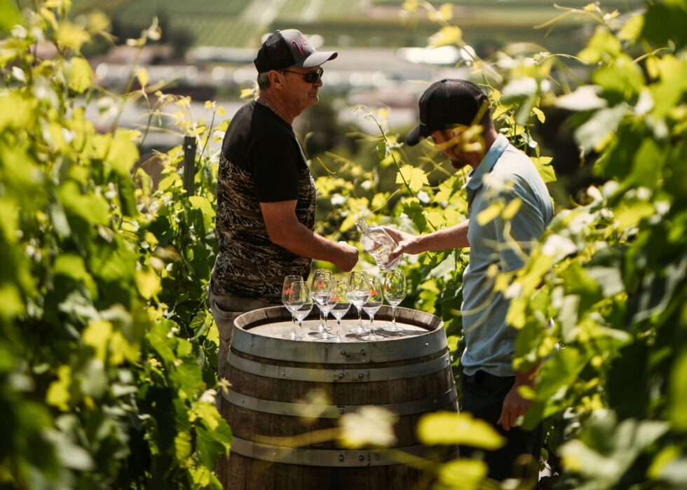 Weinwanderungen Lausanne 2025 entdecken, Herbstfest Lavaux erleben, Weine kosten, Routen & Tipps für unvergessliche Tage am Seeufer.