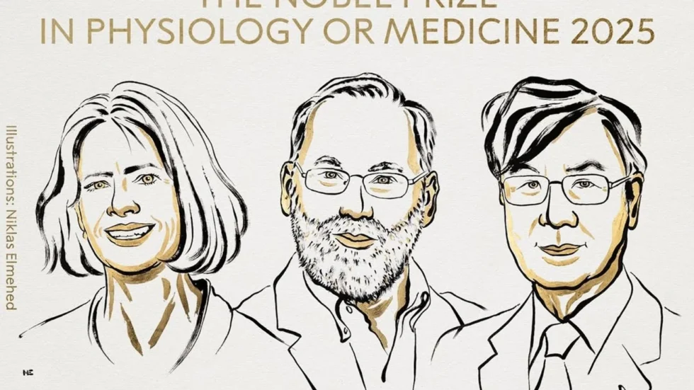 Die Forscher Brunko (USA), Ramsdell (USA) und Sakaguchi (Japan) erhalten den Nobelpreis für Medizin 2025 für die Entdeckung regulativer T-Zellen und der peripheren Immun-Toleranz.