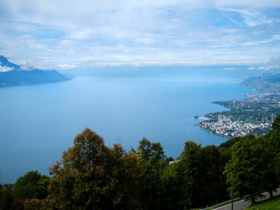 EPFL-Forscher entdeckten die V2-Kelvin-Welle im Genfersee. Sie umrundet das Ufer in 5 Tagen und erreicht 30 cm/s. Sie ist die stärkste Strömung im Sommer.