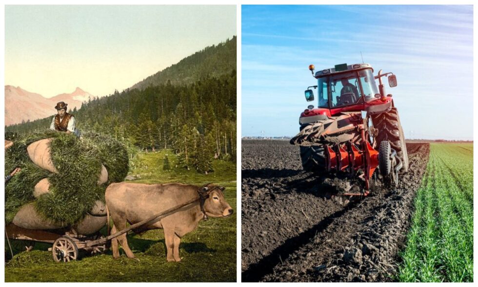 Schweizer Bauernregeln für Februar: traditionelle Wetter‑ und Naturweisheiten einfach erklärt, Bedeutung der Lostage und praktische Einordnung im Jahresverlauf.