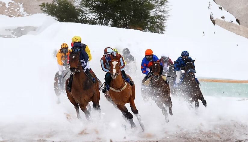 White Turf St. Moritz 2026: Erleben Sie Pferderennen auf Eis am 8., 15. und 22. Februar. Hier finden Sie Tickets ab 30 CHF, VIP-Preise und das aktuelle Programm.