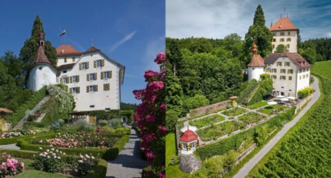 Besuchen Sie Schloss Heidegg in Gelfingen 2026. Entdecken Sie 800 Jahre Geschichte, das Kinderparadies auf dem Dachstock und den pr&auml;chtigen Rosengarten. Alle Preise und Highlights hier