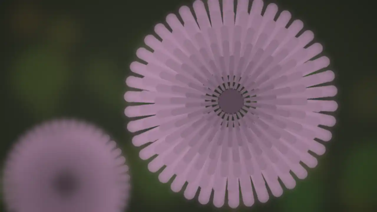 Allerheiligen 2026: Chrysantheme als Grabschmuck in Nahaufnahme
