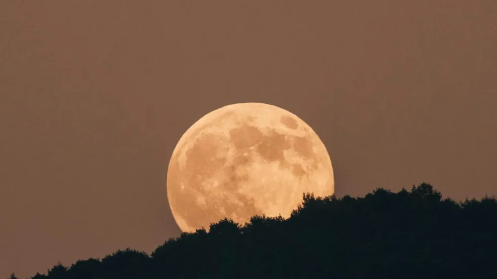 Vollmond November 2026: Mondaufgang über einer Silhouette
